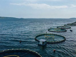 Offshore aquaculture pens